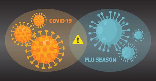 a chart showing the overlap between COVID-19 and Flu season