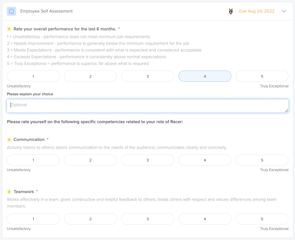 performance review opinion scale