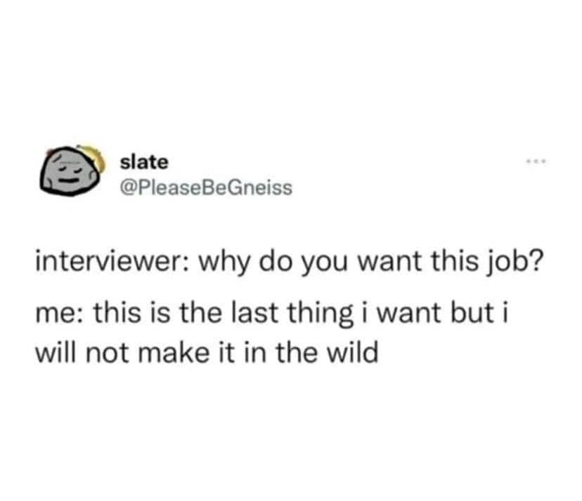 interview HR meme