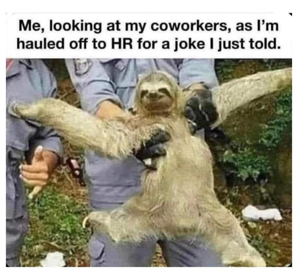 bad joke HR meme
