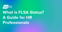 FLSA status