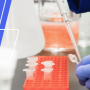 HR's Guide to Workplace Drug Testing [+ Free Template]