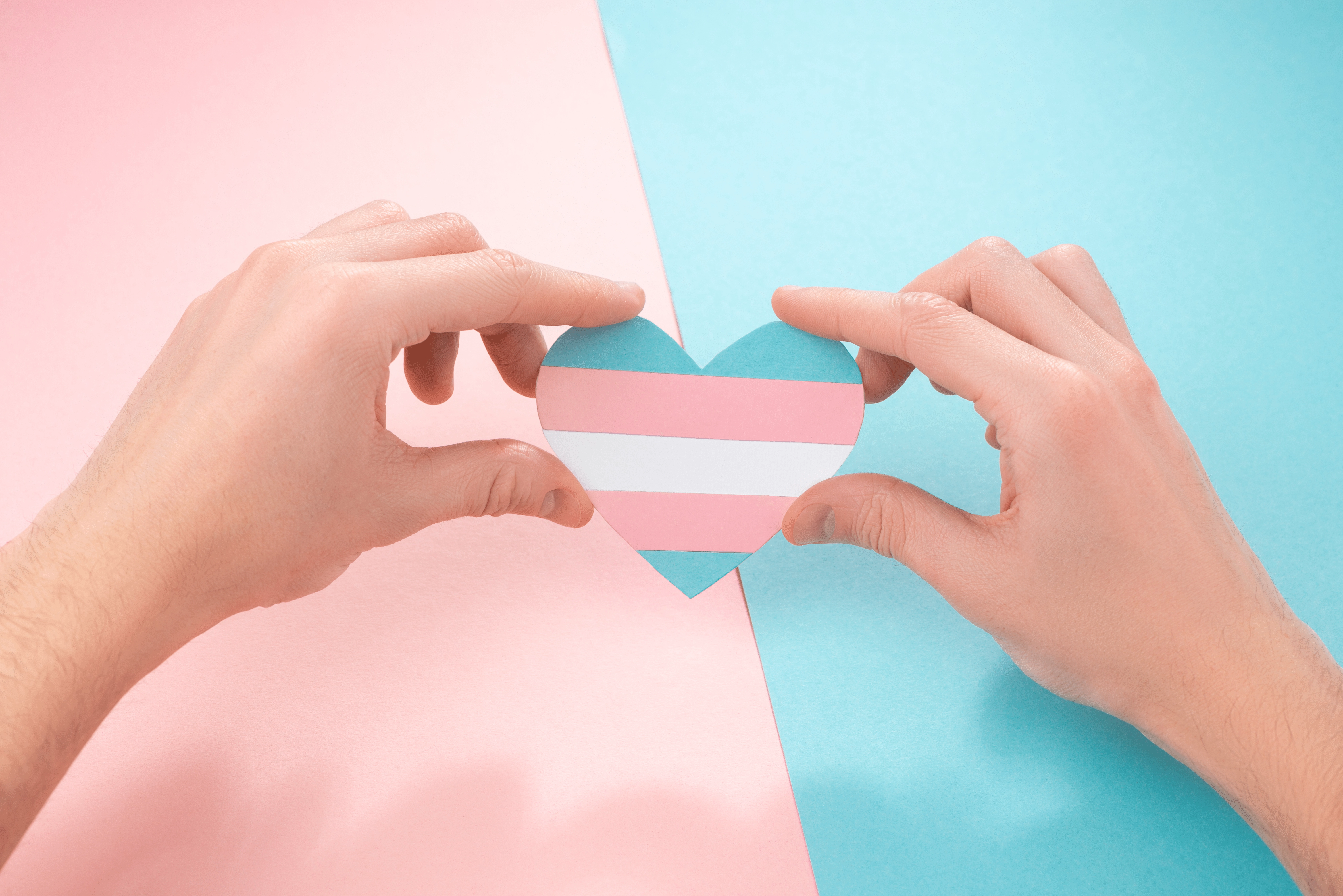 hands holding a paper heart cutout of the transgender flag