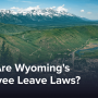 What Are Wyoming's Employee Leave Laws?